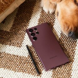 Galaxy S22 kullanıcıları dikkat: Son güncelleme cihazı çökertiyor! 12 Galaxy S22 serisi cokme ve donma sorunlari gosteriyor 2