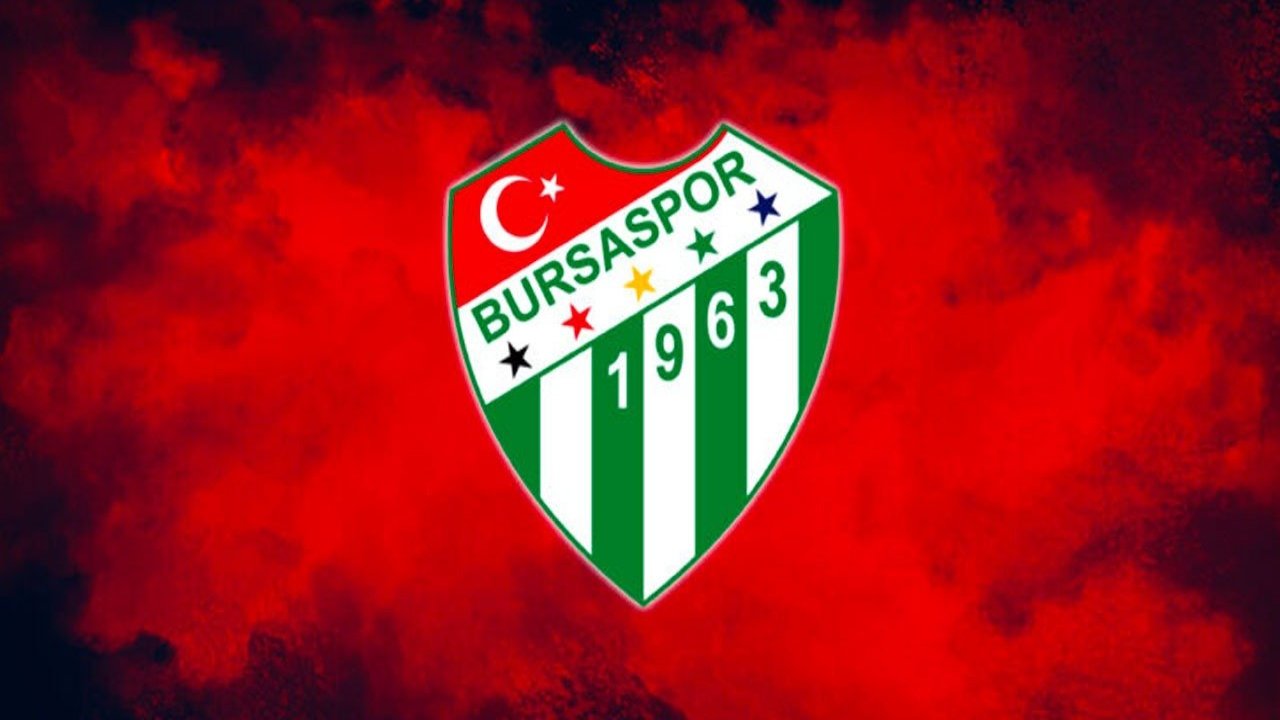 Bursaspor’dan Japonya’ya Transfer 1 523861