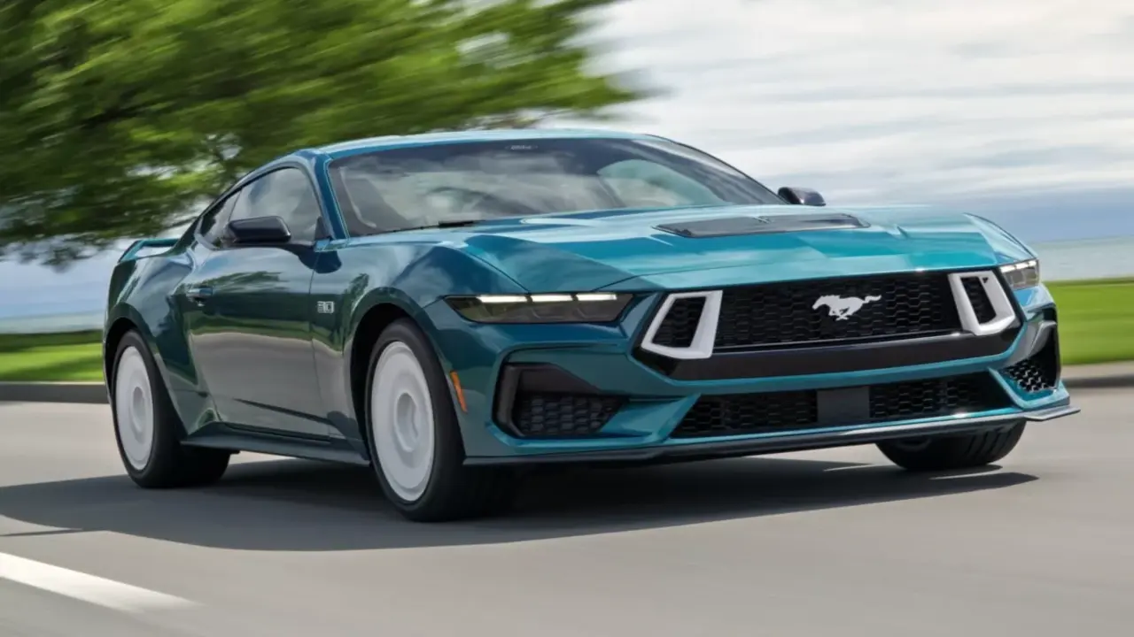 mustang 5.webp
