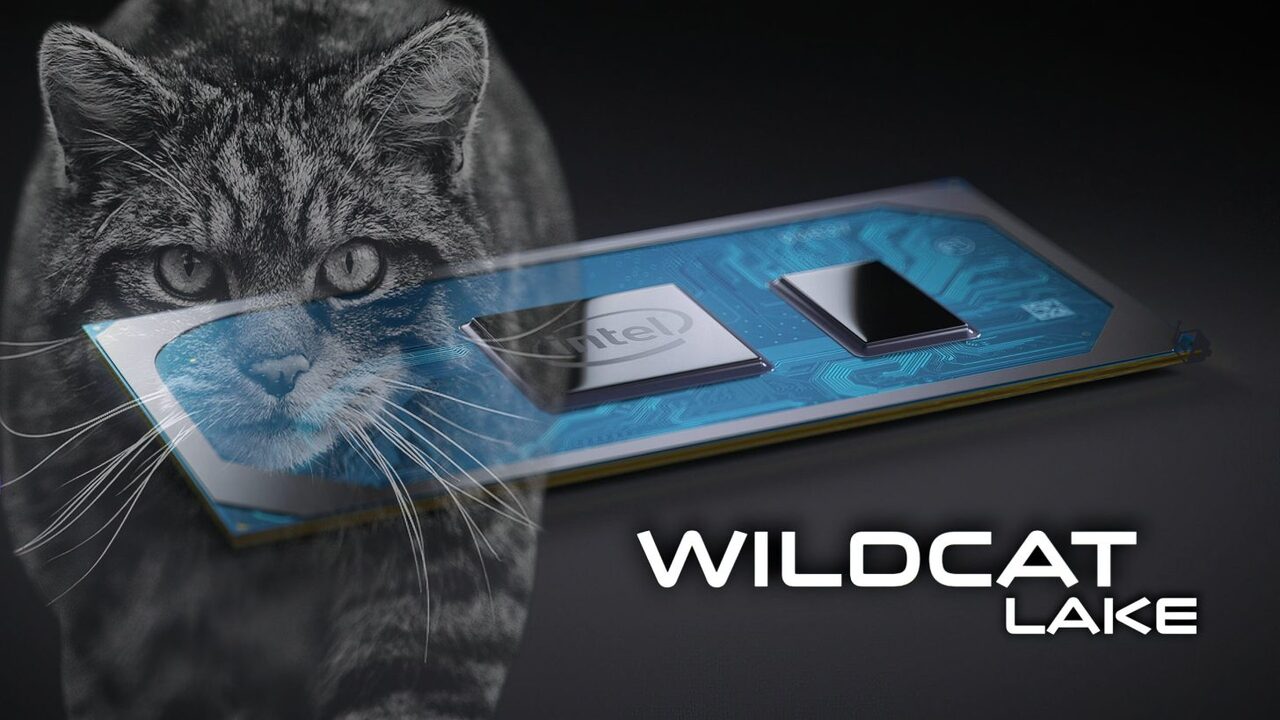 Wildcat Lake islemciler karsimiz
