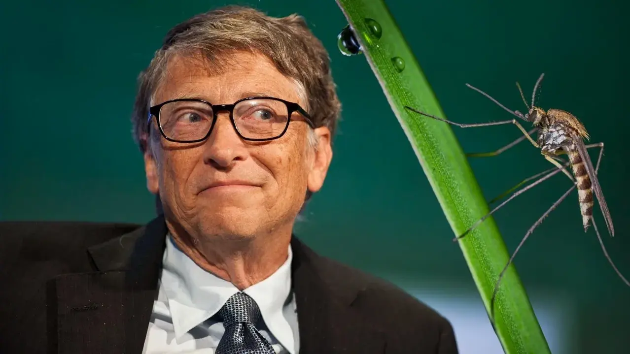 bill gates sinek 1.webp