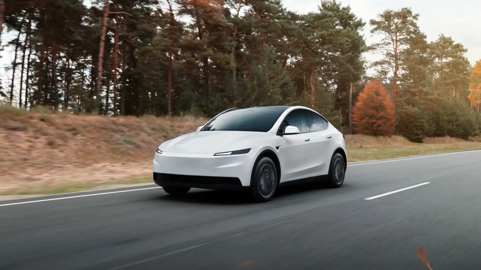 Tesla Türkiye sipariş sistemini yeniliyor: İşte yeni sistem! 2 Tesla Model Y Standard Turkiye magazalarinda2.webp