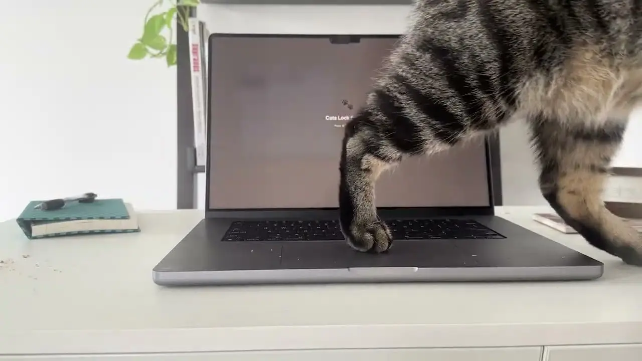 Kedi Sahibi Mac Kullanıcılarına İlaç Gibi Uygulama 19 Kedi Mac.webp